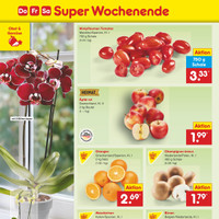 Netto Marken-Discount Prospekt Seite 42