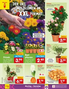 Netto Marken-Discount Prospekt - Angebote ab 23.02.