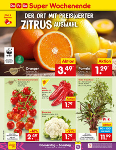 Netto Marken-Discount Prospekt - Angebote ab 23.02.