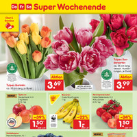 Netto Marken-Discount Prospekt Seite 50