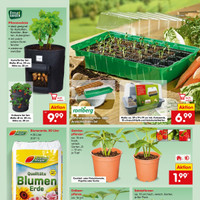 Netto Marken-Discount Prospekt Seite 33