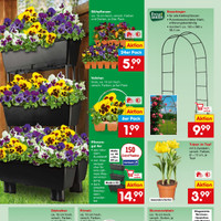 Netto Marken-Discount Prospekt Seite 34