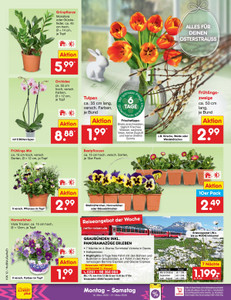 Netto Marken-Discount Prospekt - Angebote ab 16.03.