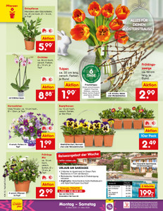 Netto Marken-Discount Prospekt - Angebote ab 16.03.