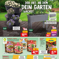 Netto Marken-Discount Prospekt Seite 42