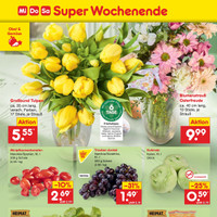 Netto Marken-Discount Prospekt Seite 50