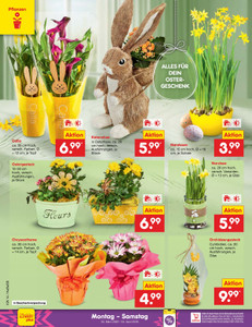 Netto Marken-Discount Prospekt - Angebote ab 30.03.