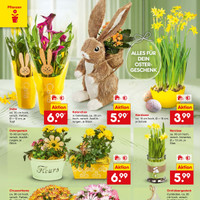 Netto Marken-Discount Prospekt Seite 28