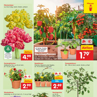 Netto Marken-Discount Prospekt Seite 9