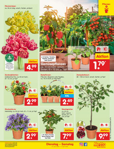 Netto Marken-Discount Prospekt - Angebote ab 06.04.