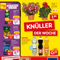Netto Marken-Discount Prospekt Seite 2