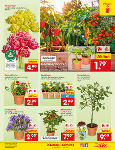 Netto Marken-Discount Prospekt - Angebote ab 06.04.
