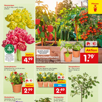 Netto Marken-Discount Prospekt Seite 9