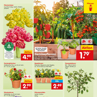 Netto Marken-Discount Prospekt Seite 9