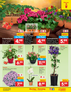 Netto Marken-Discount Prospekt - Angebote ab 13.04.
