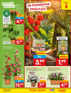 Netto Marken-Discount Prospekt - Angebote ab 20.04.