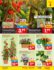 Netto Marken-Discount Prospekt - Angebote ab 20.04.