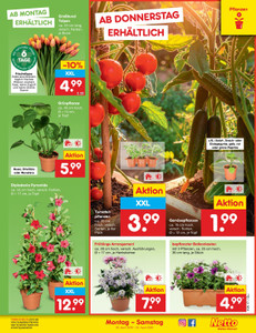 Netto Marken-Discount Prospekt - Angebote ab 20.04.