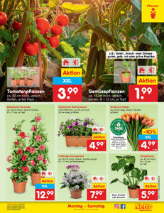Netto Marken-Discount Prospekt - Angebote ab 20.04.
