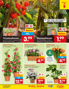 Netto Marken-Discount Prospekt - Angebote ab 20.04.