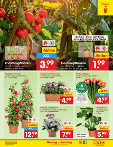Netto Marken-Discount Prospekt - Angebote ab 20.04.