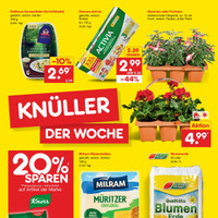 Netto Marken-Discount Prospekt Seite 2