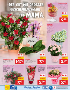 Netto Marken-Discount Prospekt - Angebote ab 04.05.