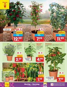 Netto Marken-Discount Prospekt - Angebote ab 11.05.