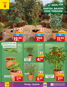 Netto Marken-Discount Prospekt - Angebote ab 11.05.