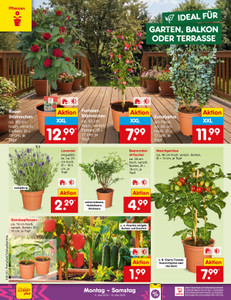 Netto Marken-Discount Prospekt - Angebote ab 11.05.