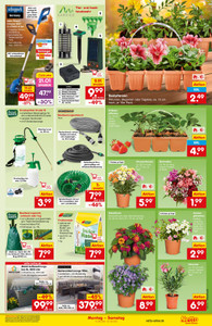 Netto Marken-Discount Prospekt - Angebote ab 18.05.