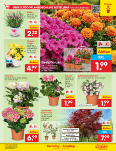 Netto Marken-Discount Prospekt - Angebote ab 26.05.