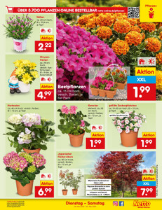 Netto Marken-Discount Prospekt - Angebote ab 26.05.