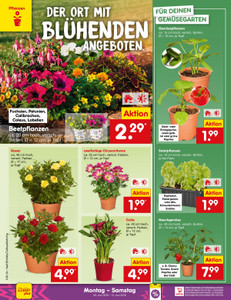 Netto Marken-Discount Prospekt - Angebote ab 08.06.