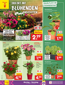 Netto Marken-Discount Prospekt - Angebote ab 08.06.
