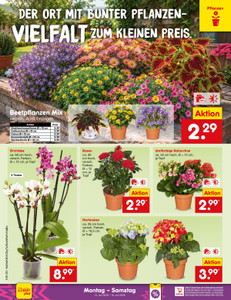 Netto Marken-Discount Prospekt - Angebote ab 13.07.