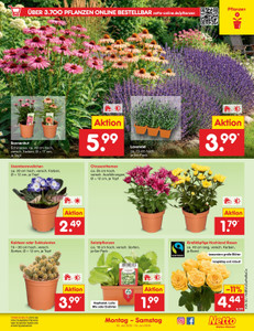 Netto Marken-Discount Prospekt - Angebote ab 20.07.