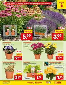 Netto Marken-Discount Prospekt - Angebote ab 20.07.