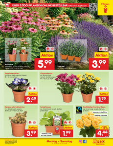 Netto Marken-Discount Prospekt - Angebote ab 20.07.