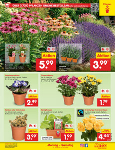 Netto Marken-Discount Prospekt - Angebote ab 20.07.