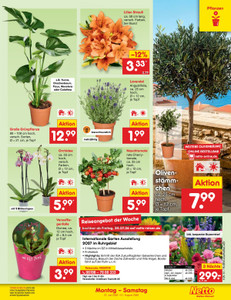 Netto Marken-Discount Prospekt - Angebote ab 27.07.