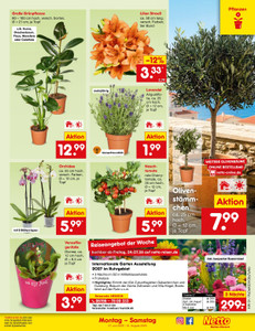Netto Marken-Discount Prospekt - Angebote ab 27.07.