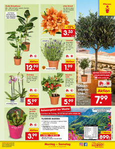 Netto Marken-Discount Prospekt - Angebote ab 27.07.