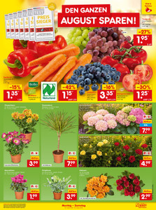 Netto Marken-Discount Prospekt - Angebote ab 03.08.
