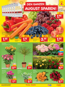 Netto Marken-Discount Prospekt - Angebote ab 03.08.