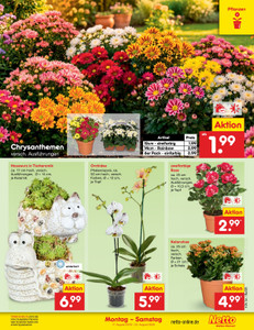 Netto Marken-Discount Prospekt - Angebote ab 17.08.