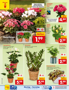 Netto Marken-Discount Prospekt - Angebote ab 24.08.