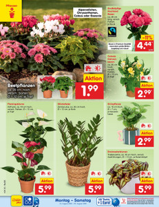 Netto Marken-Discount Prospekt - Angebote ab 24.08.