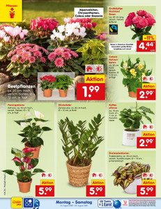 Netto Marken-Discount Prospekt - Angebote ab 24.08.
