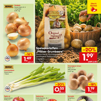 Netto Marken-Discount Prospekt Seite 13